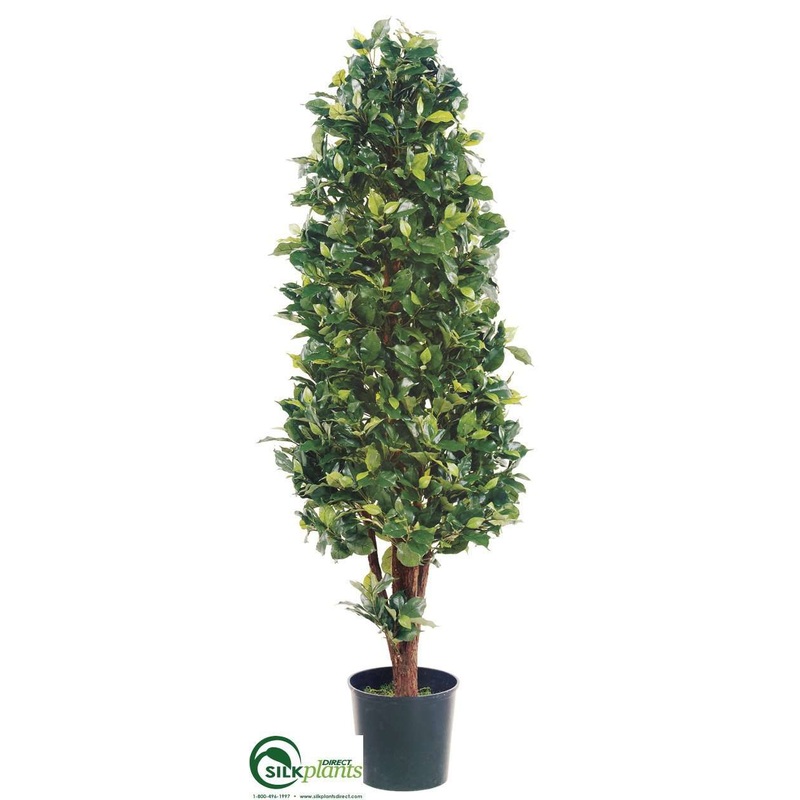 Silk Plants Direct Ficus Cone Tree – Green Two Tone – Pack of 2 Green Two Tone