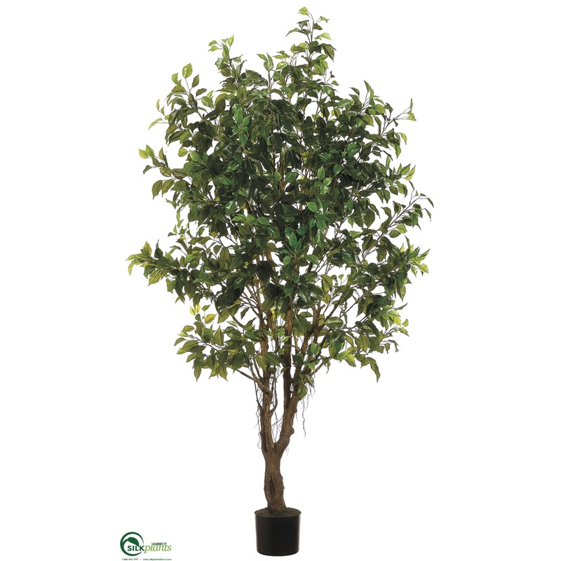 Silk Plants Direct Outdoor Ficus Tree – Green – Pack of 2 Green