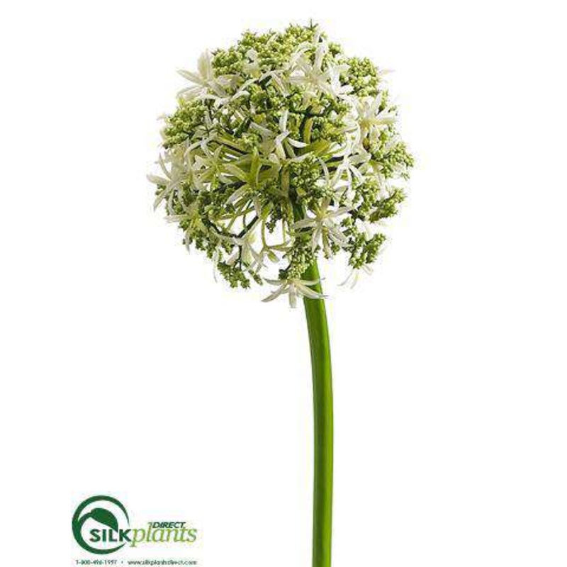 Silk Plants Direct Allium Spray – Cream – Pack of 12 Cream