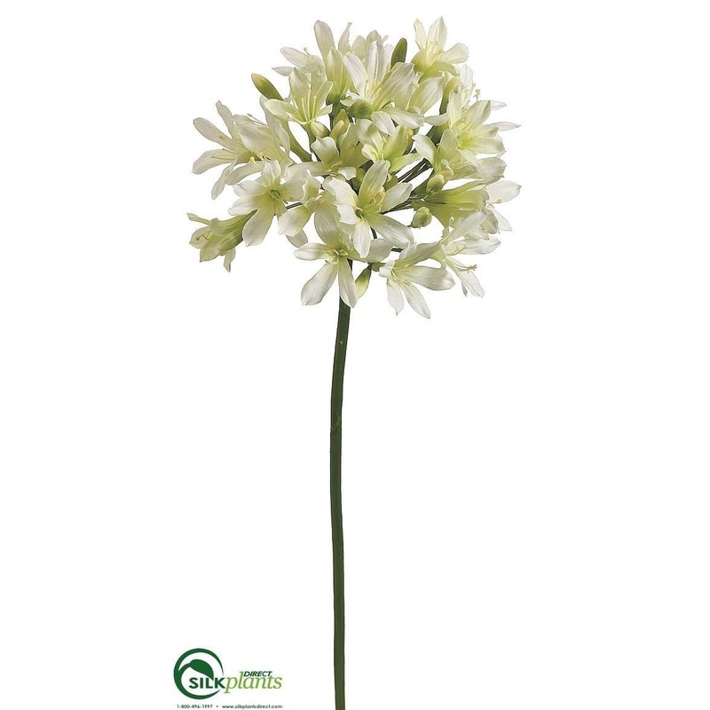 Silk Plants Direct Agapanthus Spray – Cream – Pack of 12 Cream