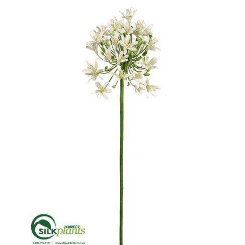 Silk Plants Direct Agapanthus Spray – Cream – Pack of 6 Cream