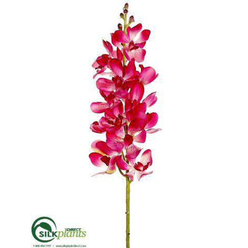 Silk Plants Direct Vanda Orchid Spray – Beauty – Pack of 12 Beauty