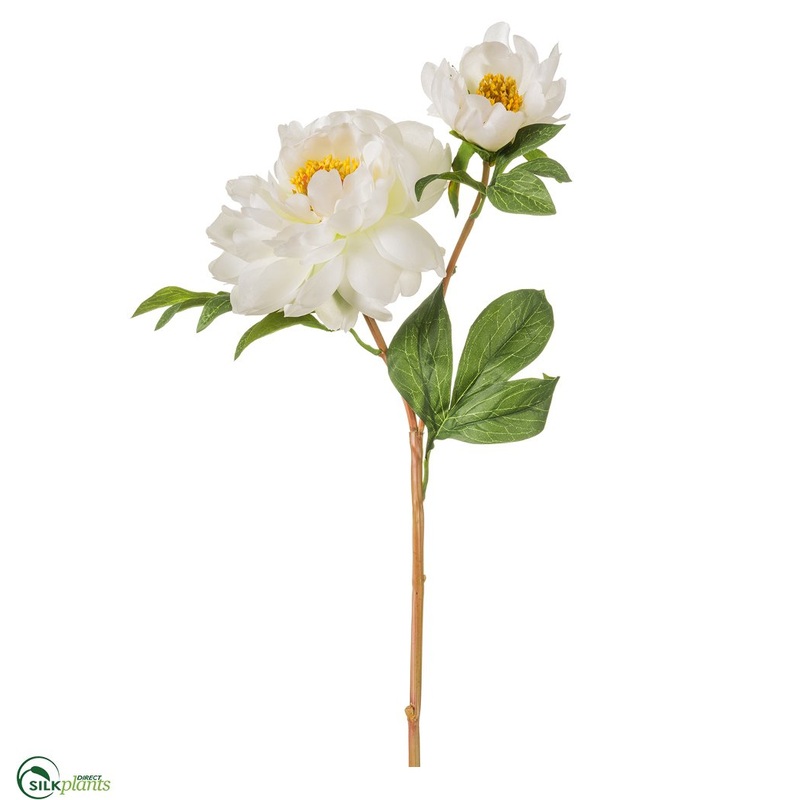 Silk Plants Direct Vintage Peony Spray – Cream – Pack of 12 Cream