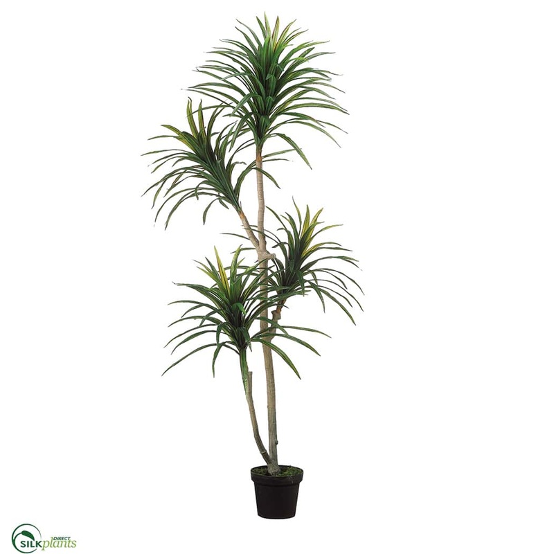 Silk Plants Direct Yucca Tree – Green Burgundy – Pack of 1 Green Burgundy