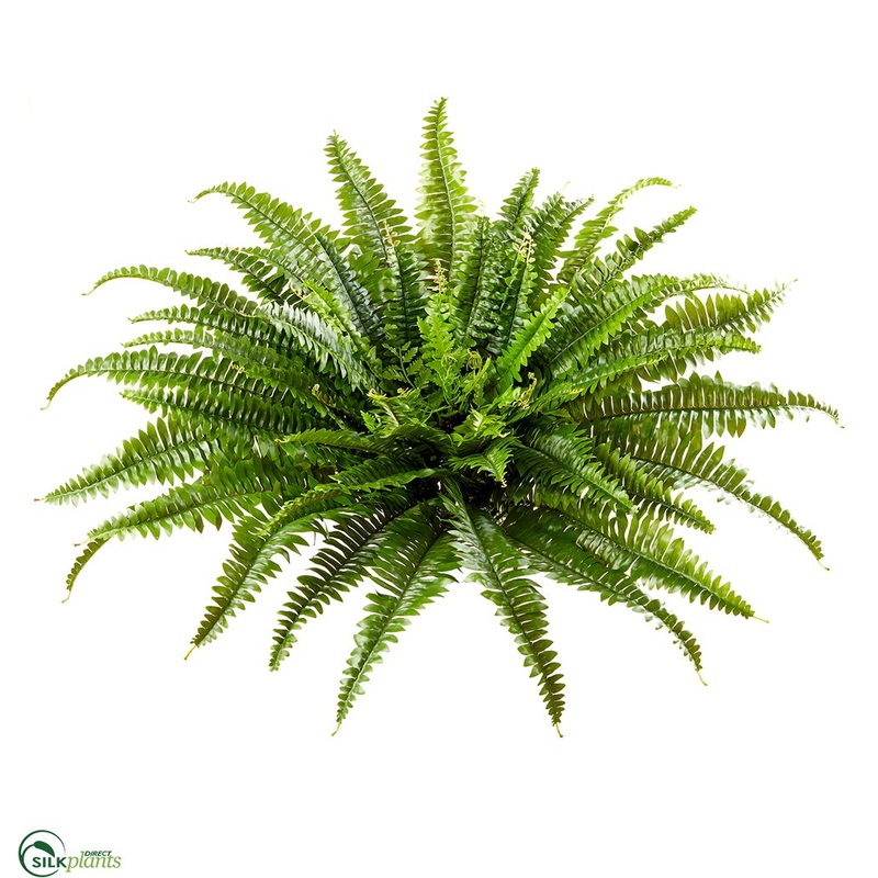 Silk Plants Direct UV Protected Boston Fern Bush – Green – Pack of 4 Green