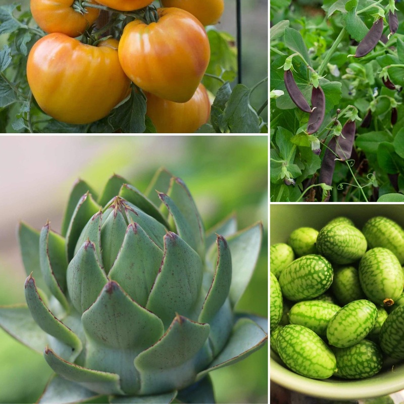 Allotment in a Box | Incredible Edibles Collection