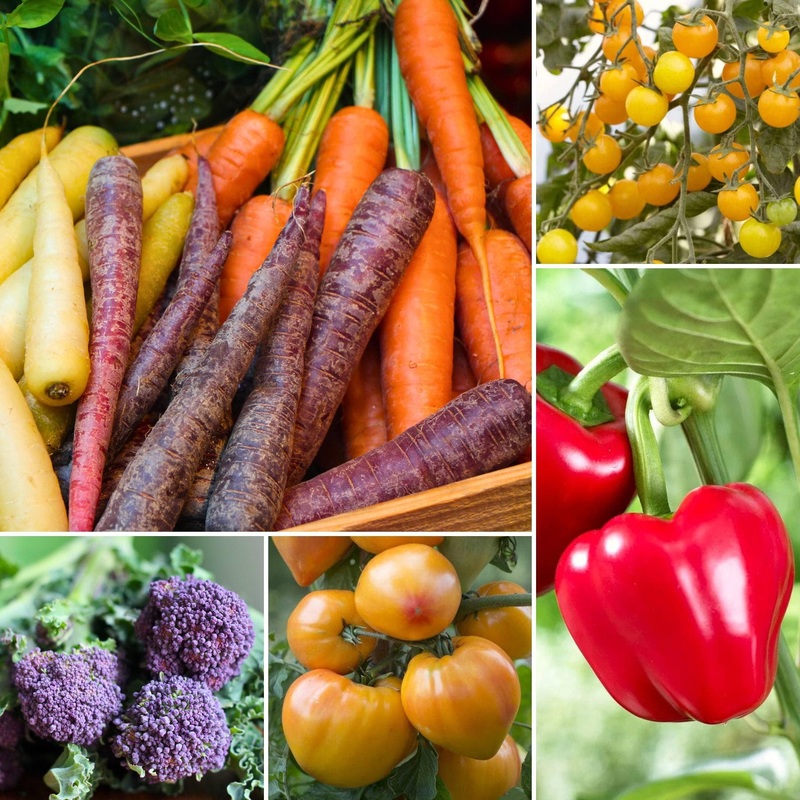 Colourful Vegetable Plants