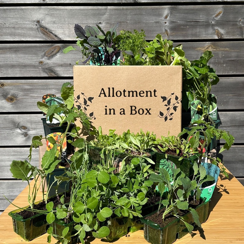 Allotment in a Box | Homegrown Heroes Collection