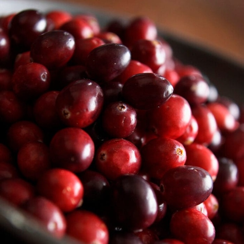‘Early Black’ Cranberry Bush