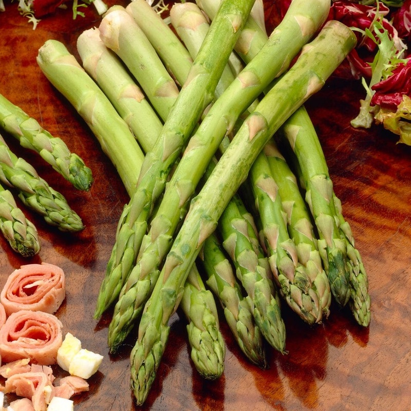 ‘Pacific 2000’ Asparagus Plant