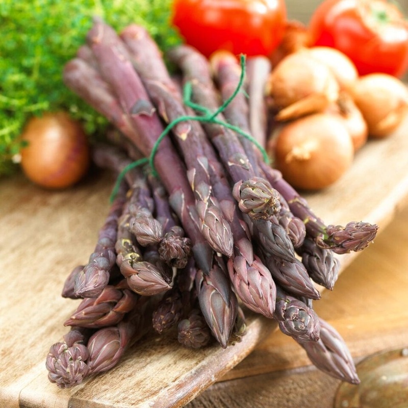 ‘Pacific Purple’ Asparagus Plant