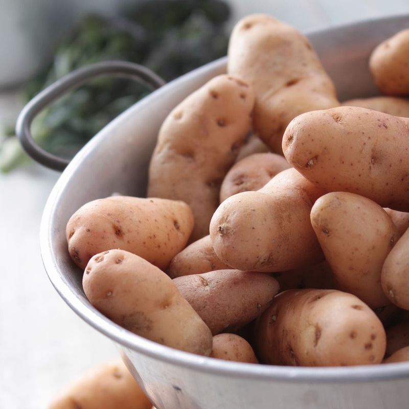 ‘Pink Fir Apple’ Maincrop Salad Seed Potatoes