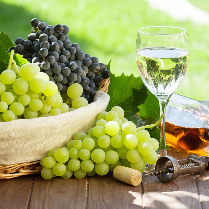British Winemaking Grape Vines Collection