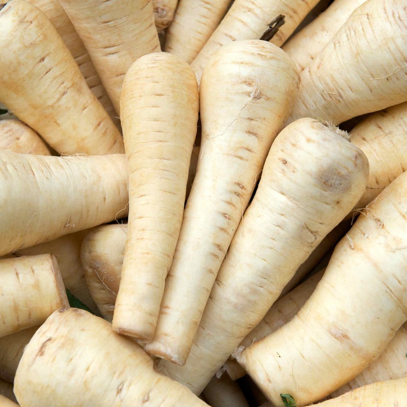 ‘Duchess F1’ Parsnip Plants