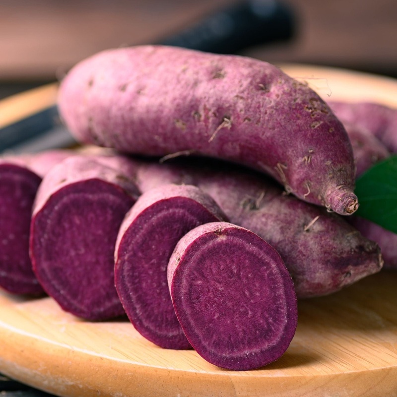 ‘Erato Violet’ Sweet Potato Plant