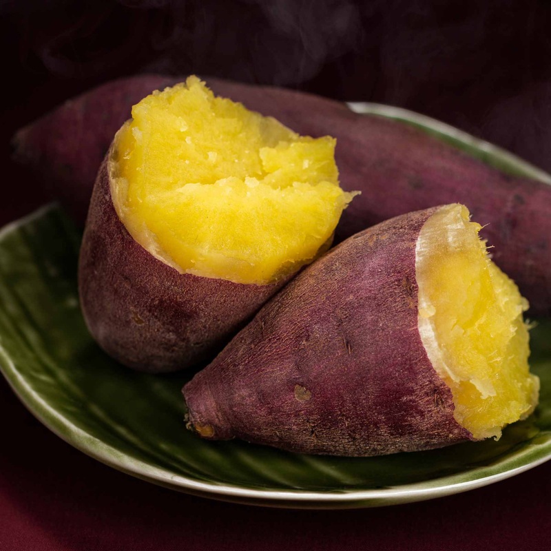 ‘Erato White’ Sweet Potato Plant