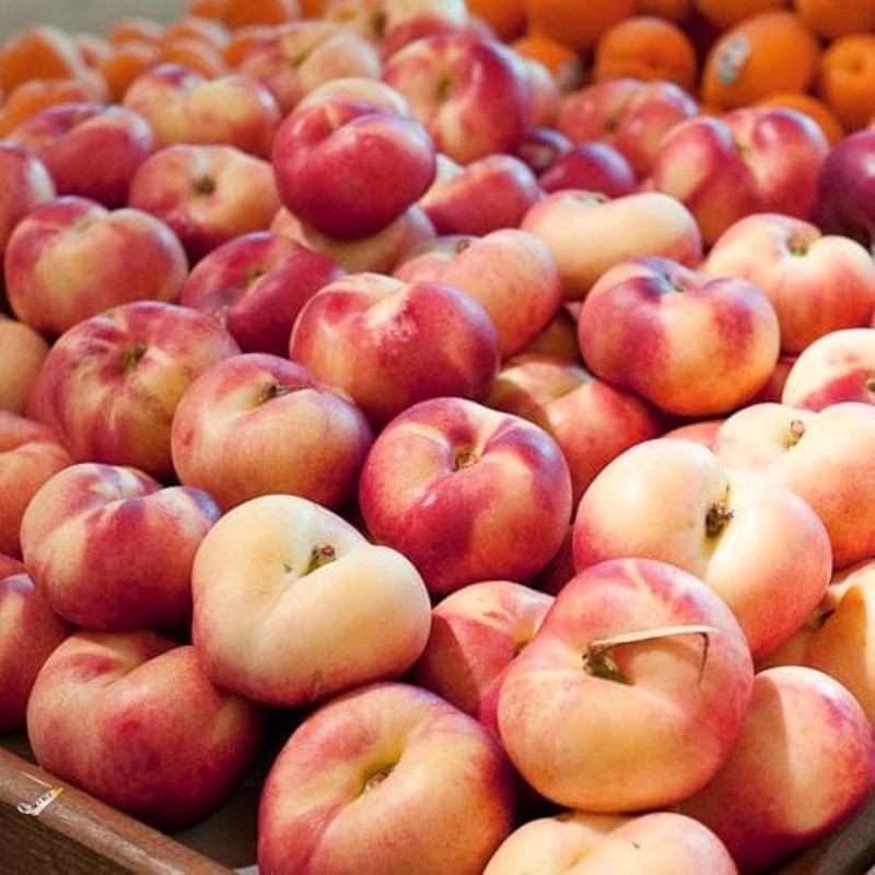 ‘Flat’ Nectarine Tree
