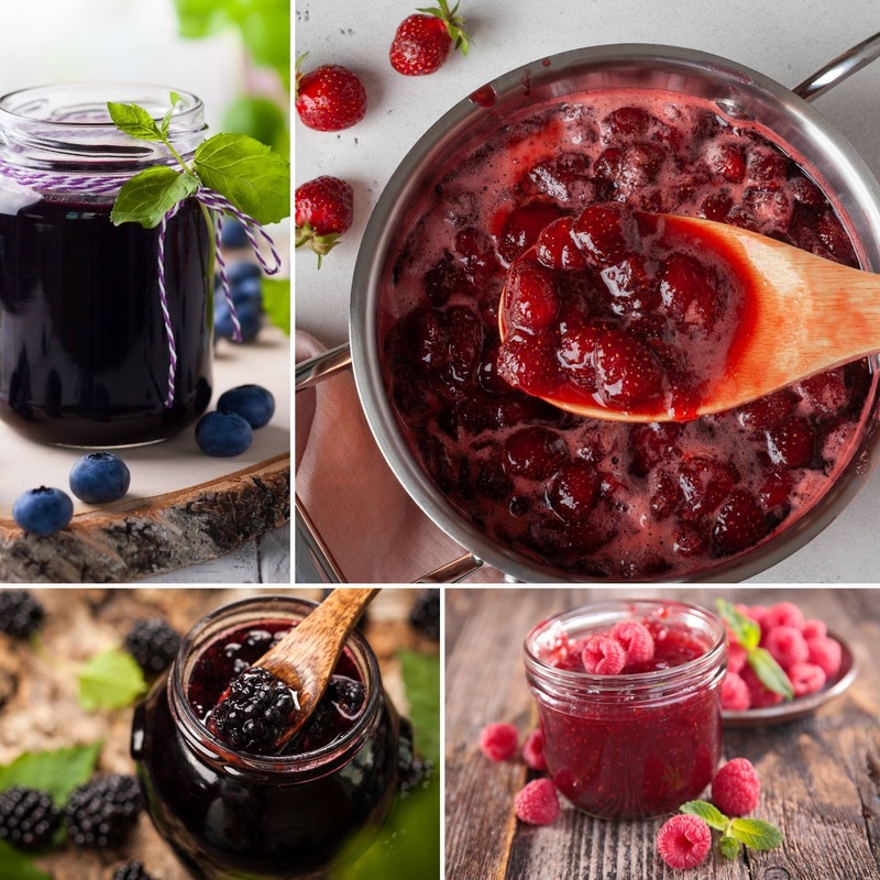 Jam Maker’s Fruit Plants Collection | Allotment in a Box