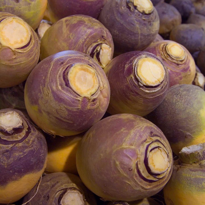 ‘Marian’ Swede Plants