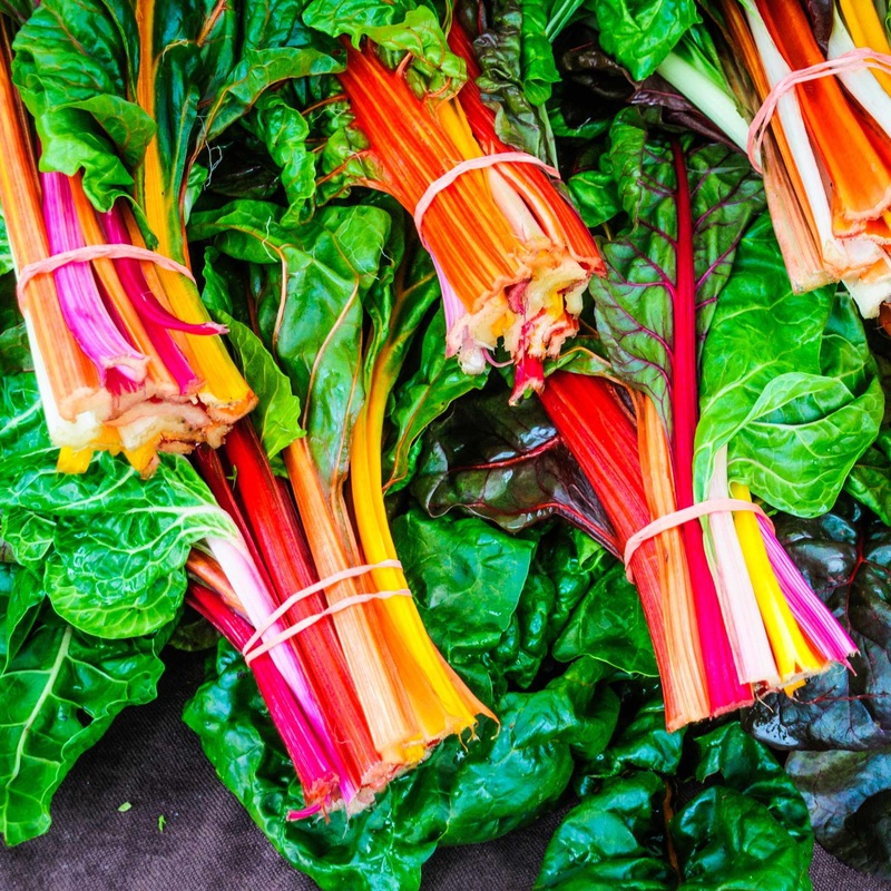 ‘Bright Lights’ Swiss Chard Plants