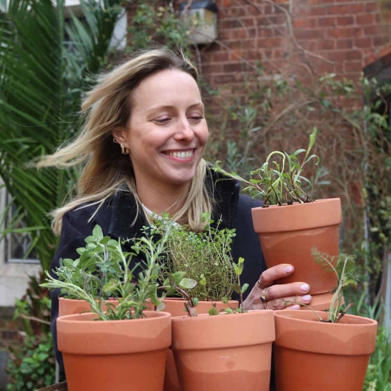Chef’s Best Herb Collection