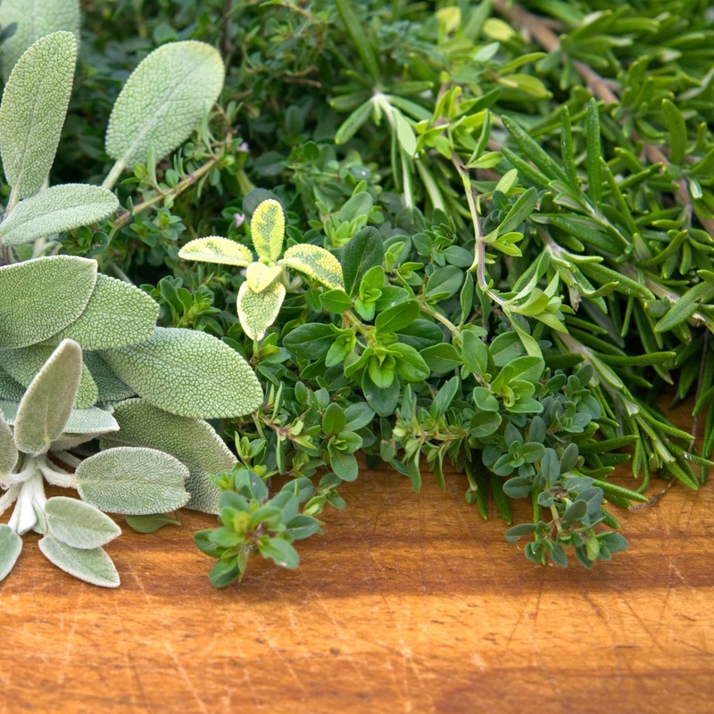Evergreen Herb Collection