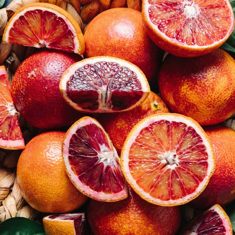 Blood Orange Tree | Citrus sinensis