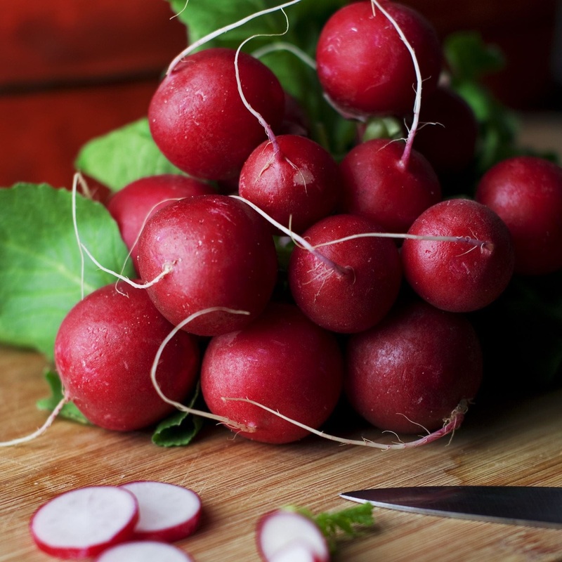 ‘Cherry Belle’ Radish Plants