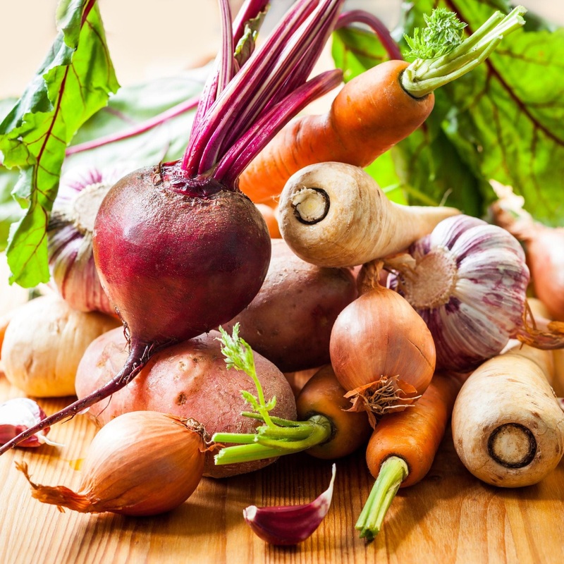 Root Vegetable Collection 175 Plants – 6 Premium Varieties