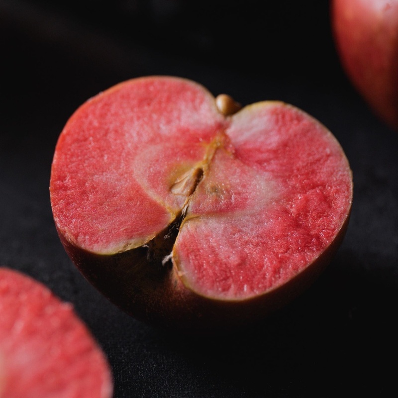 ‘Bloody Ploughman’ Apple Tree