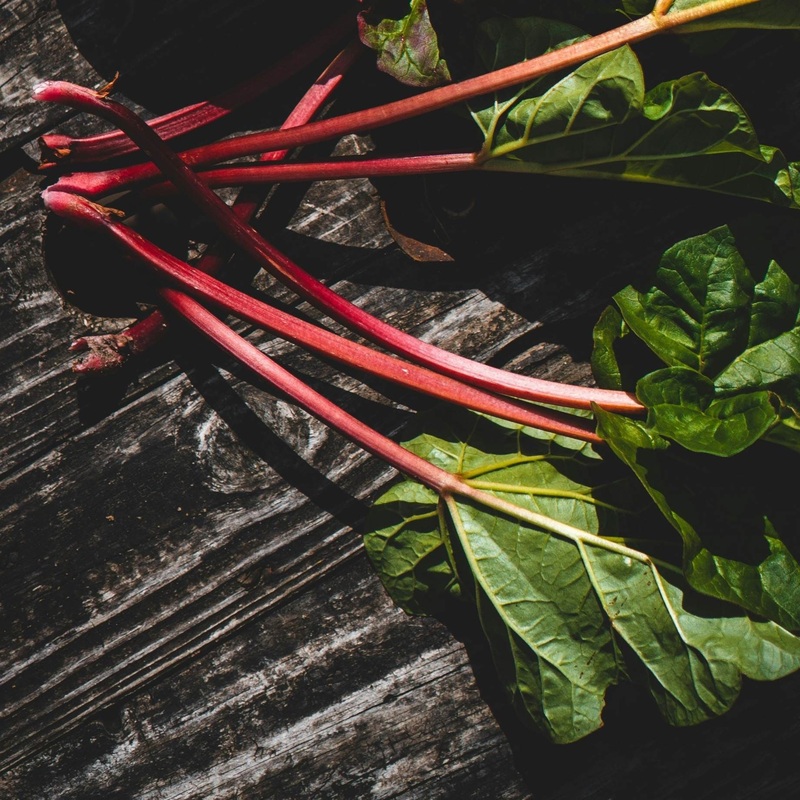 ‘Fulton’s Strawberry Surprise’ Rhubarb Plant