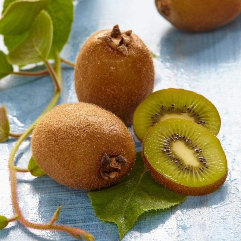 ‘Jenny’ Hardy Kiwi Plant Plant in a 2L Pot