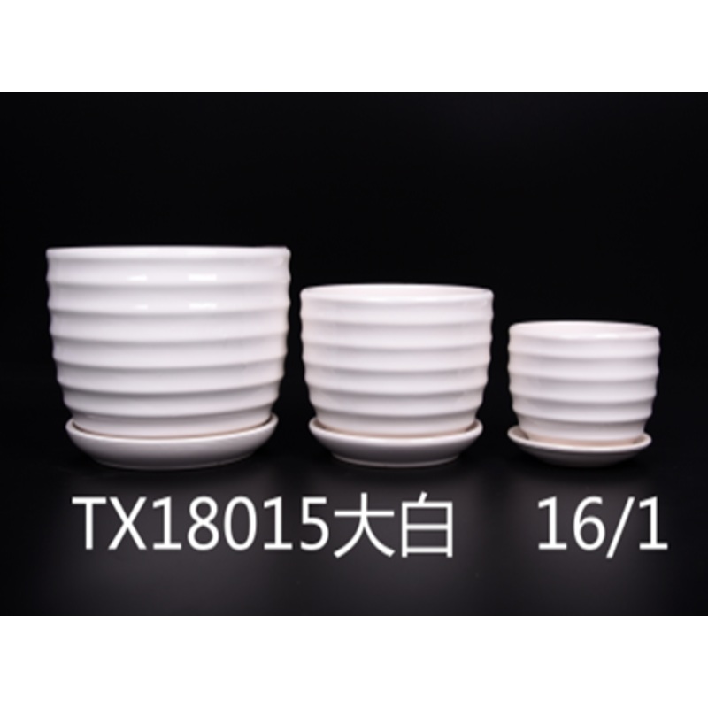Minimalistic Round Ribbed Ceramic Flower Pots – Set of 3 | White Classic | Home Decor