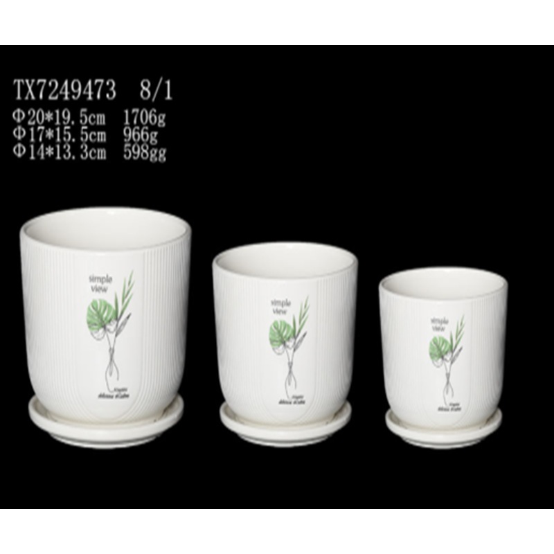 Set of 3 White Ceramic Pot with Plant Picture – Modern Design