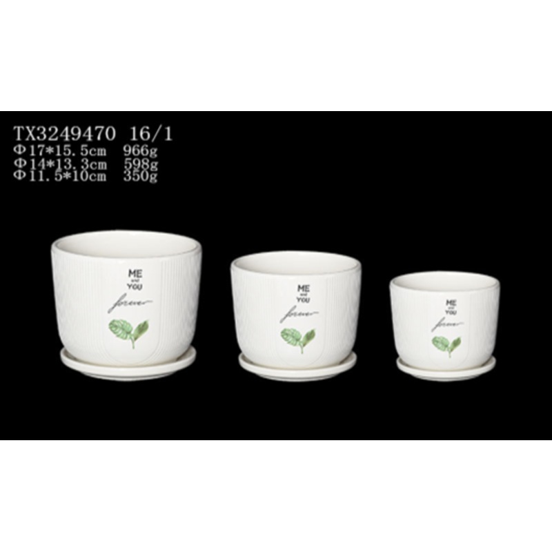 White Ceramic Cylindrical  Pots – Set of 3 | High-Quality Pot For Best Couple’s