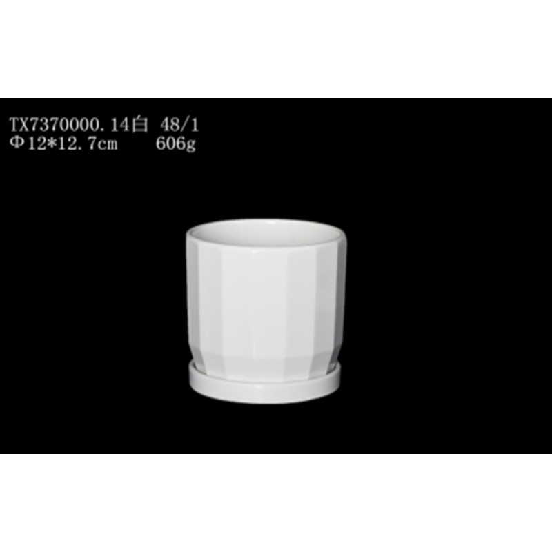 White Ceramic Pot with Plate: Perfect for Indoor Gardens