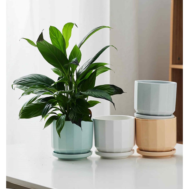 Angle Edge Ceramic Indoor Planters  Pastel Tones