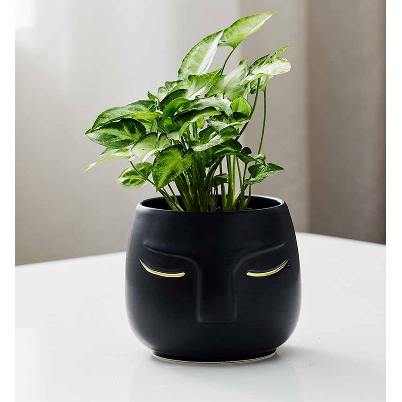 Black Ceramic Face Planter with Gold Details – Minimalist Black Face Pot for Indoor Plants