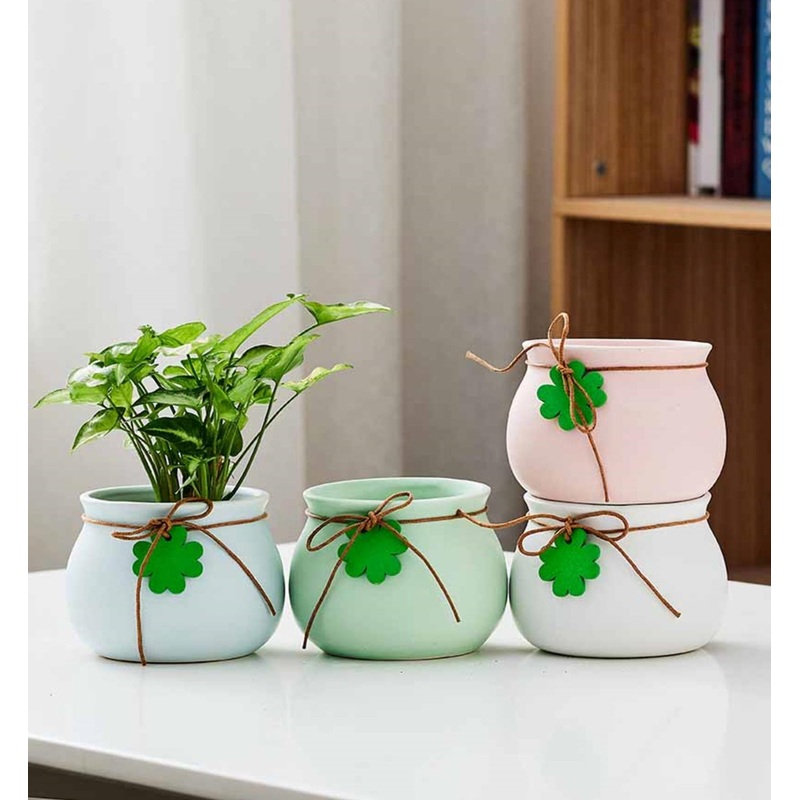 Small Indoor Plant Pots in Pastel Shades