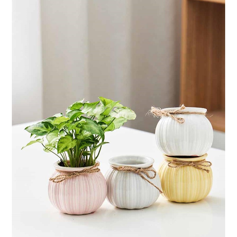 Soft-Toned Pumpkin Planters for Small Indoor Plants