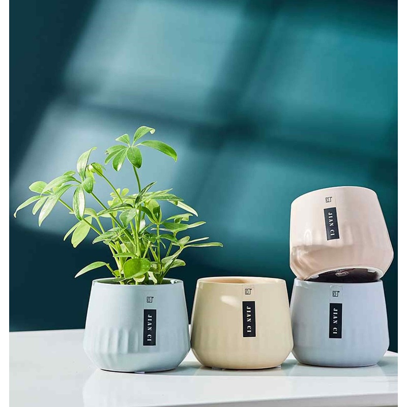 Stylish Indoor Ceramic Plant Pot – Single Decorative Planter