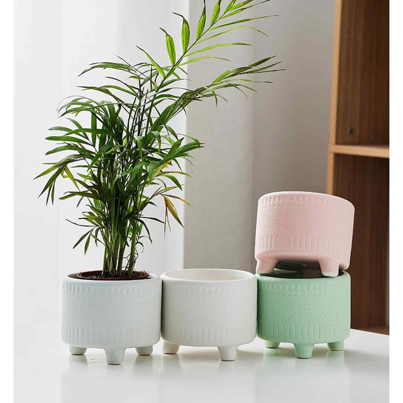 Textured Pastel Succulent Pots with Modern Design