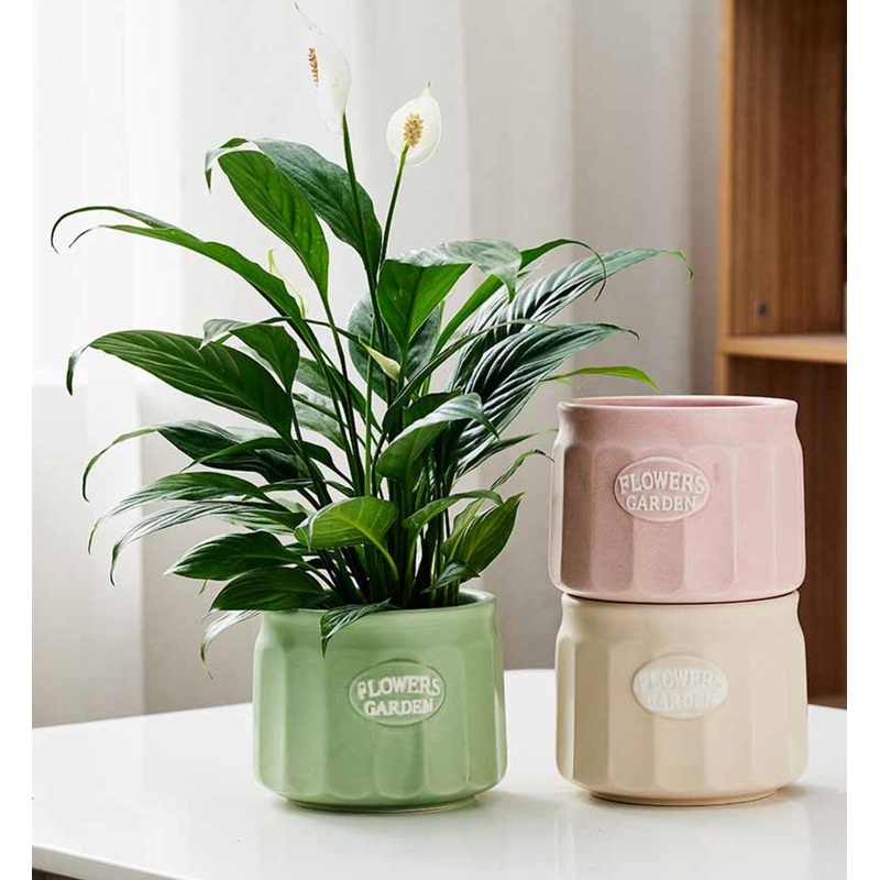 Vertical Ridge Pastel Ceramic Flower Pots