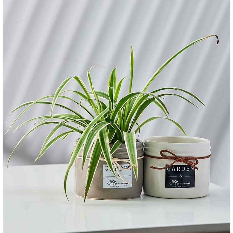 Vintage Garden & Flower Round Ceramic Planters – Rustic Indoor Plant Pots with Decorative Bow