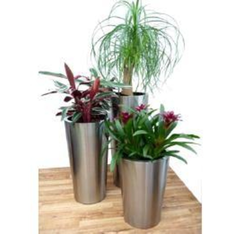 Stainles Steel SS Conical Planter Medium