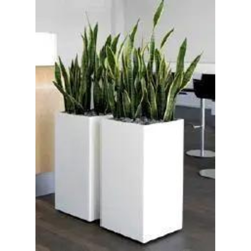 Stainless Steel SS Square Planters A