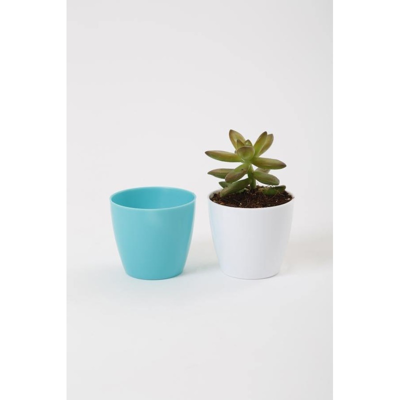 2.5 Inch Turq Singapore Pot (67mm)
