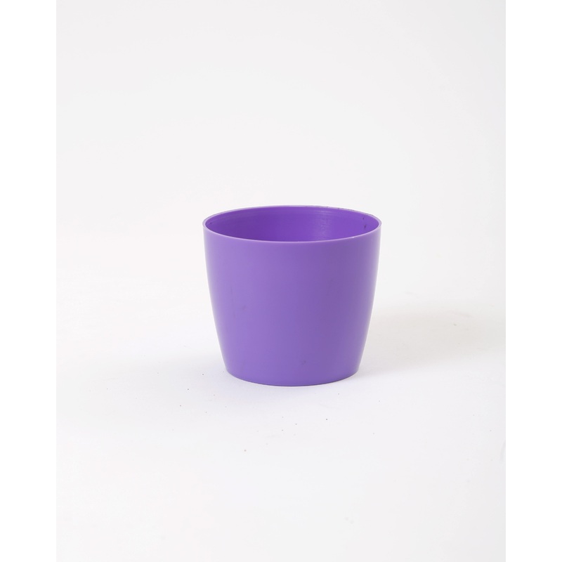 3.5 Inch Violet Singapore Pot (90mm)