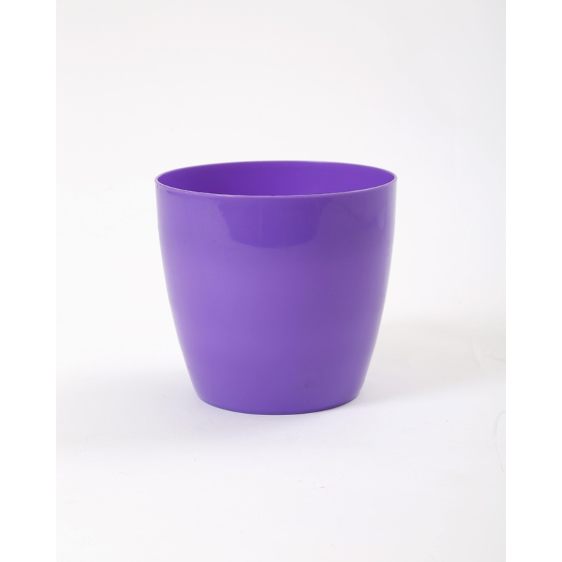 6 Inch Violet Singapore Pot (160mm)
