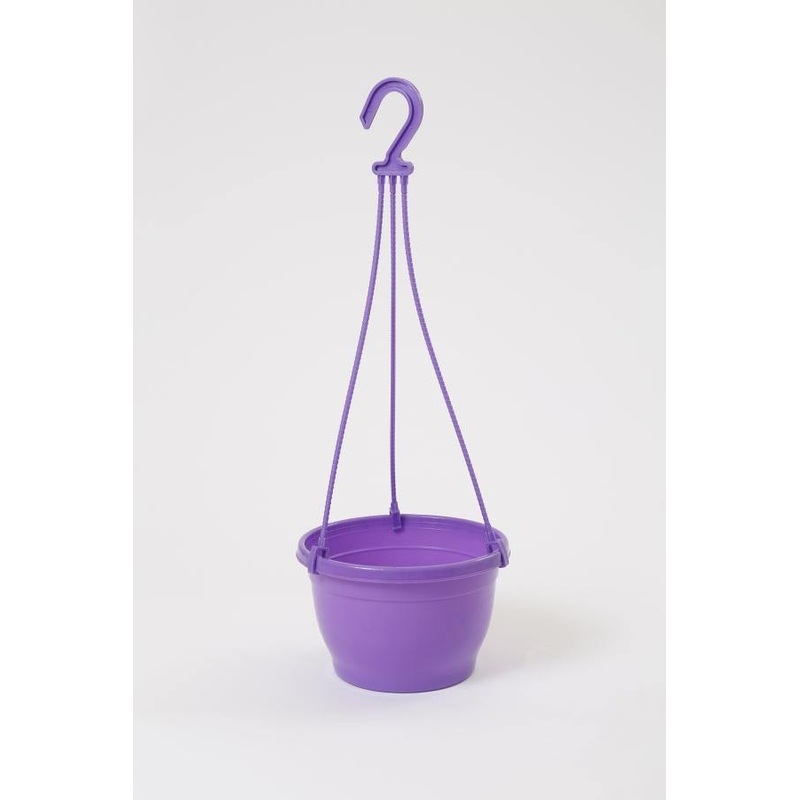 7 Inch Hanging Pot Violet